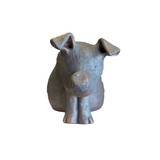 Pig by Sharon Stelter