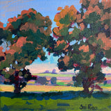 Mini Iowa #185 by Sri Rao