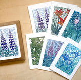 Wildflower Boxed Greeting Cards by Nan Onkka