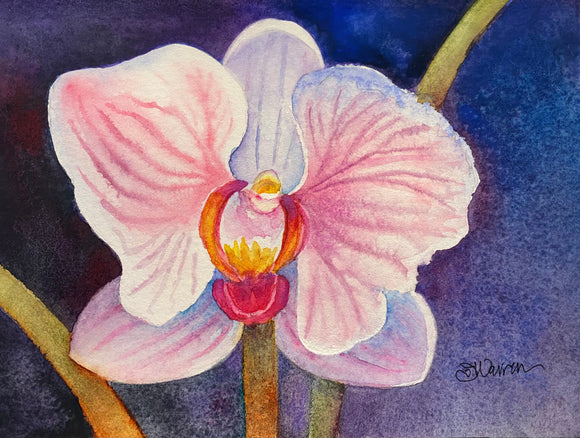 Midnight Orchid Original Watercolor by JoAnne Hauser Warren