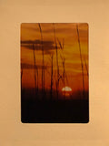 Sunrise Greeting Card by Tony Moline