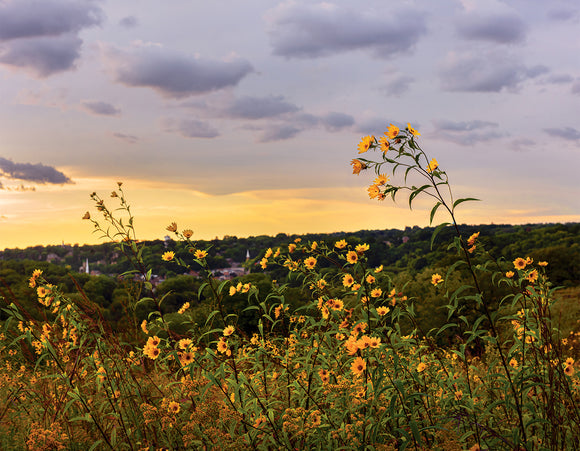 Gateway Gold Photo Print by Hallie Bear