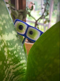 Hooligans Goofy Eyes Plant Accessory by Artworks Etc.