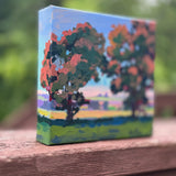 Mini Iowa #185 by Sri Rao