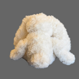 Fluffy Bunny by Abby Schrup