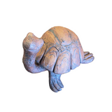 Turtle by Sharon Stelter