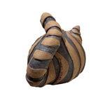 Cat by Sharon Stelter