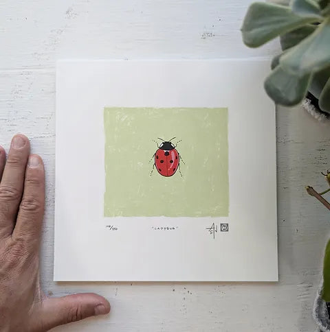 Ladybug Silkscreen Print by Allison and Jonathan Metzger