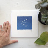 Aquarius Silkscreen Print by Allison and Jonathan Metzger