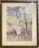 Old Cedar In Spring by Brian McCormick