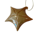 Star Ornament by Roberta Polfus