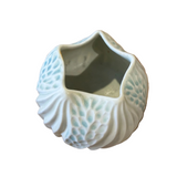 Round Vase by Roberta Polfus