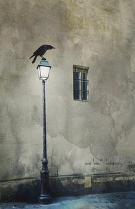 Free Bird by Jamie Heiden