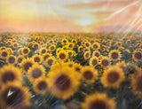 Times Infinity Photo Print by Hallie Bear