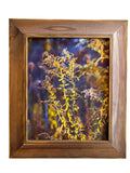 Fall Florals II Framed Photo Art By Hallie Bear