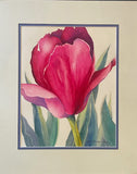 Merilyn's Tulip Original Watercolor by JoAnne Hauser Warren