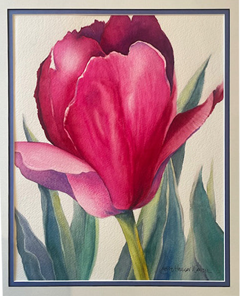 Merilyn's Tulip Original Watercolor by JoAnne Hauser Warren