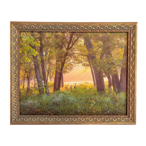 White-tail Morning Framed Canvas Photo Art By Hallie Bear