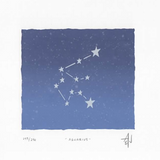 Aquarius Silkscreen Print by Allison and Jonathan Metzger