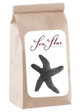 Sea Star Graphite Drawing Instrument by Zen Stone Garden