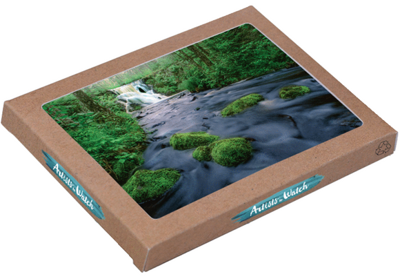 8 Assorted Boxed Waterfalls Notecards from Artists to Watch