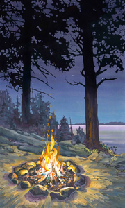 Fireside Reproduction by Dan Wiemer