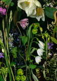 Deb Stoner: Flora Boxed Notecard Assortment