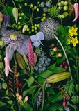 Deb Stoner: Flora Boxed Notecard Assortment