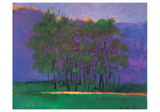 Wolf Kahn: Hours of the Day Boxed Notecard Assortment
