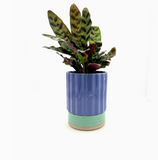 Planter by Keene Pottery