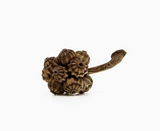 Warm Umbrella Pod Post Earrings by Merzatta Jewelry