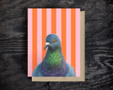 Pigeon Blank Greeting Card by Emily Uchytil