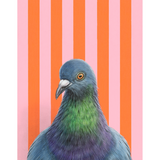 Pigeon Blank Greeting Card by Emily Uchytil