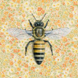 Honeybee (Yellow) Reproduction by Emily Uchytil