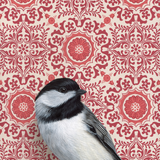 Chickadee Reproduction by Emily Uchytil