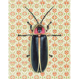 Firefly Blank Greeting Card by Emily Uchytil