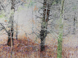 After the Fall by Brian McCormick