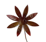 Eight Petal Copper Flower - Enamel by Annabelle Noel Designs