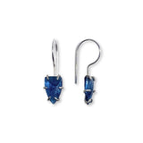 Arrowhead Earrings by Susan Rodgers