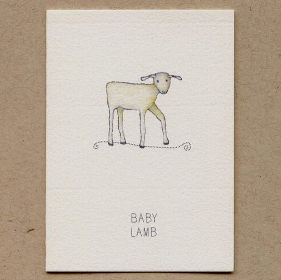 Baby Lamb Enclosure Card by Beth Mueller