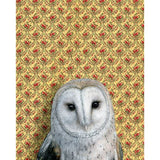 Barn Owl Reproduction by Emily Uchytil