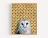 Barn Owl Reproduction by Emily Uchytil