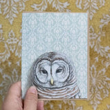 Barred Owl Blank Greeting Card by Emily Uchytil