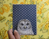 Barred Owl (Dark Blue) Blank Greeting Card by Emily Uchytil