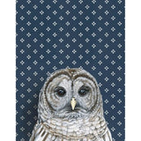 Barred Owl (Dark Blue) Blank Greeting Card by Emily Uchytil