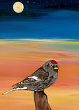 8 Assorted Boxed Birds Notecards by Artists to Watch