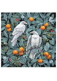 Vasilisa Romanenko: Birds of a Feather Boxed Notecard Assortment