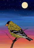 8 Assorted Boxed Birds Notecards by Artists to Watch