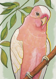 8 Assorted Boxed Birds Notecards by Artists to Watch