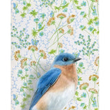 Bluebird Reproduction by Emily Uchytil